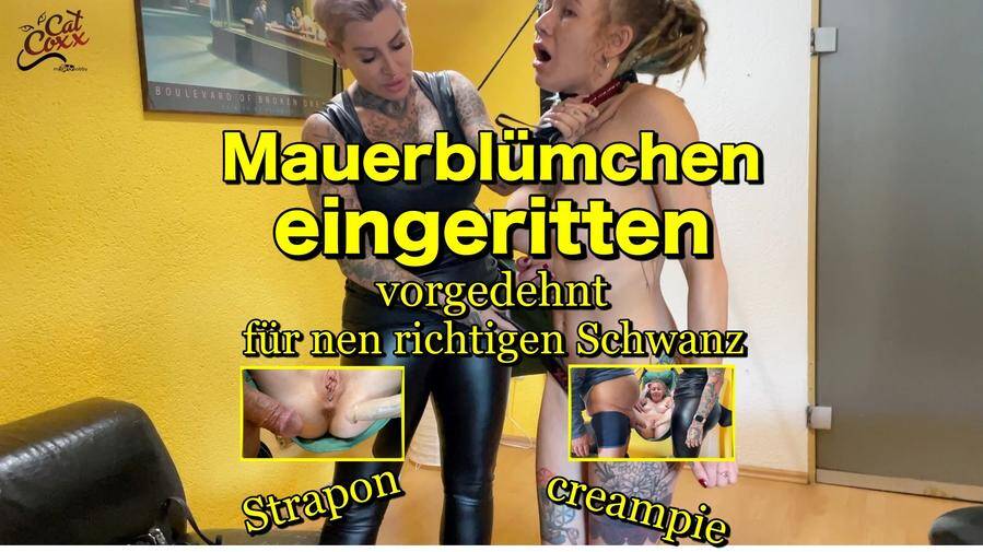 Cat-Coxx – Mauerblümchen Julia Juice eingeritten